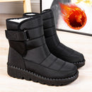 botina feminina, bota feminina cano curto, botas femininas, bota feminina, bota cano curto